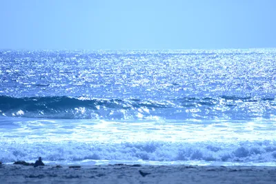 DSC_4995 (Large).JPG